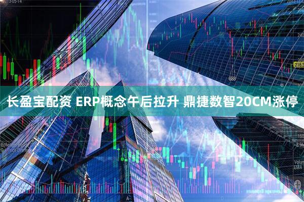 长盈宝配资 ERP概念午后拉升 鼎捷数智20CM涨停